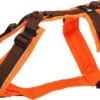 AnnyX Hondentuig – FUN – Speurtuig – Bruin/Neonoranje – Maat M – Borstomvang 62-74cm – Gewicht Hond 18-30 Kg – My K9