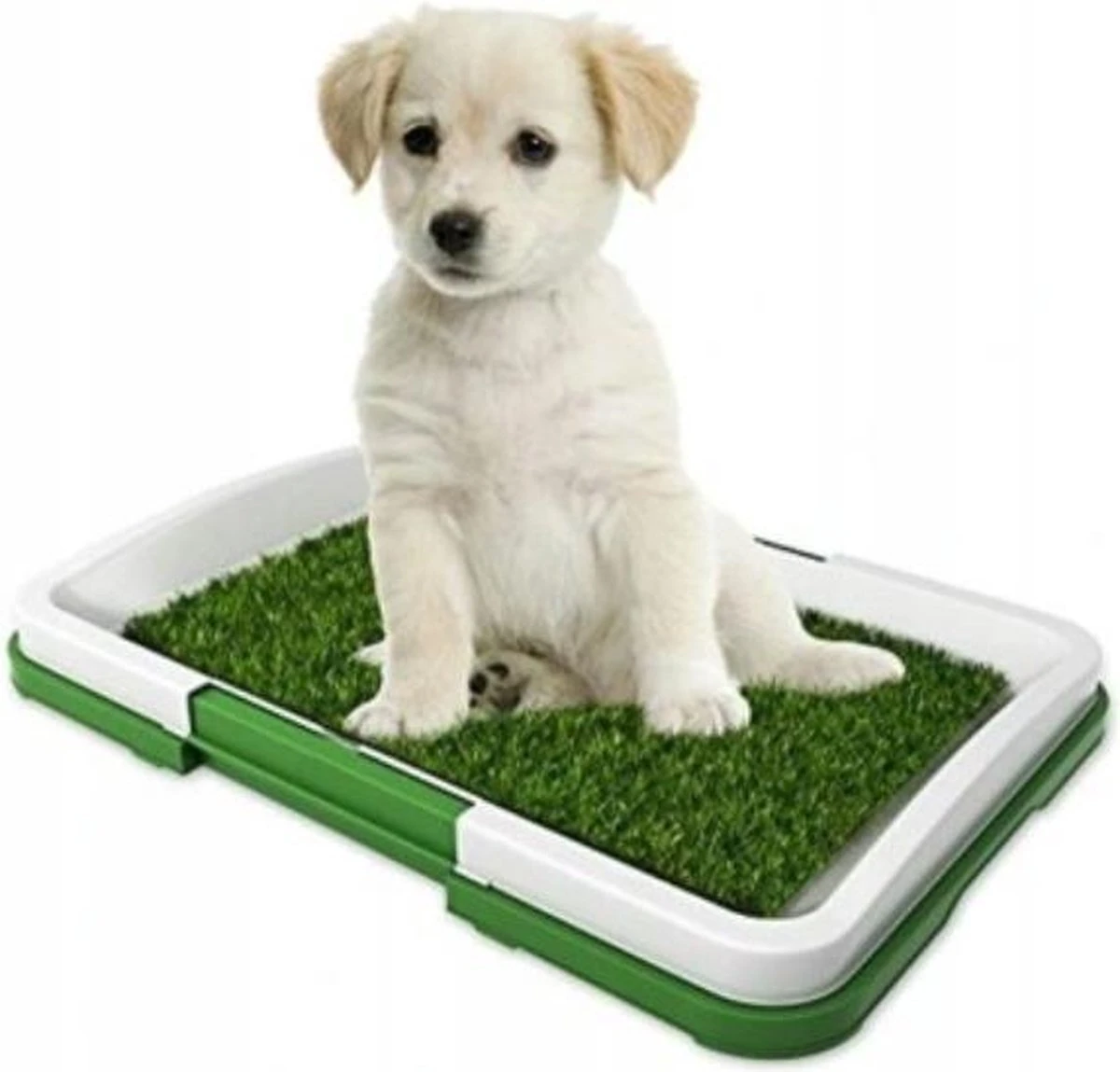 Ariko Hondentoilet – Puppy Training Pads – Geurbestendig & Hondvriendelijk Kunstgras – Zindelijkheid Training – Uitneembare Opvangbak – Voor Puppy’s & Kleine Honden – Indoor En Outdoor 3 Ariko Hondentoilet – Puppy Training Pads – Geurbestendig & Hondvriendelijk Kunstgras – Zindelijkheid Training – Uitneembare Opvangbak – Voor Puppy’s & Kleine Honden – Indoor En Outdoor