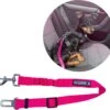 Autogordel Voor Honden – Roze – Voor Optimale Veiligheid Onderweg Voor Hond En Baasje – Schok Absorberend – Hondengordel – Voor Alle Honden – Bestand Tegen Grote Krachten – Geschikt Voor Bijna Alle Auto’s 2 Autogordel Voor Honden – Roze – Voor Optimale Veiligheid Onderweg Voor Hond En Baasje – Schok Absorberend – Hondengordel – Voor Alle Honden – Bestand Tegen Grote Krachten – Geschikt Voor Bijna Alle Auto’s -Hondenbenodigdhedenwinkel Autogordel voor honden roze voor optimale veiligheid onderweg voor hond en baasje schok absorberend hondengordel voor alle honden bestand