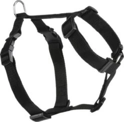 Beeztees Wandel- En Autogordel – Hond – Nylon – Zwart – 50-75 Cm