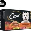 Cesar Classic Honden Natvoer Mix Multipack (6 Stuks X 4 Potjes X 150g) – 3600 Gram -Hondenbenodigdhedenwinkel Cesar Classic honden natvoer mix multipack 6 stuks x 4 potjes x 150g 3600 gram 1