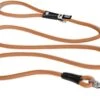 Curli Hondenlijn Stretch Comfort Leash 1×180 Cm Nylon Oranje -Hondenbenodigdhedenwinkel Curli Hondenlijn Stretch Comfort Leash 1x180 Cm Nylon Oranje