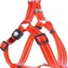 DDOXX Hondenharnas Nylon, Step-In, Reflecterend, Verstelbaar, Breakaway | Voor Kleine & Grote Honden | Borstharnas Hond Kat Puppy Auto | Puppy Harnas Kat Harnas | Oranje, XXS -Hondenbenodigdhedenwinkel DDOXX Hondenharnas Nylon Step In Reflecterend Verstelbaar Breakaway voor kleine amp grote honden Borstharnas Hond Kat Puppy Auto Puppy Har