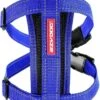 EzyDog Chest Plate Hondentuig Met Autogordel Zekering – Honden Harnas – S – Blauw 1 EzyDog Chest Plate Hondentuig Met Autogordel Zekering – Honden Harnas – S – Blauw -Hondenbenodigdhedenwinkel EzyDog Chest Plate Hondentuig met Autogordel Zekering Honden Harnas S Blauw
