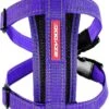 EzyDog Chest Plate Hondentuig Met Autogordel Zekering – Honden Harnas – XS – Paars 2 EzyDog Chest Plate Hondentuig Met Autogordel Zekering – Honden Harnas – XS – Paars -Hondenbenodigdhedenwinkel EzyDog Chest Plate Hondentuig met Autogordel Zekering Honden Harnas XS Paars