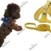 Hondenharnas | Puppy Tuigje | Geschikt Voor Teacup En Toy Breeds | Oker Geel | XXXS 2 Hondenharnas | Puppy Tuigje | Geschikt Voor Teacup En Toy Breeds | Oker Geel | XXXS -Hondenbenodigdhedenwinkel Hondenharnas Puppy Tuigje Geschikt voor teacup en toy breeds Oker Geel XXXS