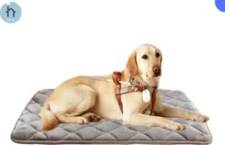 Hondenmand – Hondenmand Groot – Groot Hondenkussen – Grijs – 121×76 Cm