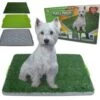 Hondentoilet – Puppytoilet – Puppy Zindelijk Maken – Puppy Trainer – Zindelijkheidstraining – Hondenmand – Vervanger Van Puppy Training Pads – Indoor & Outdoor Hondentoilet – Trainingshulpen Hond 1 Hondentoilet – Puppytoilet – Puppy Zindelijk Maken – Puppy Trainer – Zindelijkheidstraining – Hondenmand – Vervanger Van Puppy Training Pads – Indoor & Outdoor Hondentoilet – Trainingshulpen Hond -Hondenbenodigdhedenwinkel Hondentoilet Puppytoilet Puppy zindelijk maken Puppy trainer Zindelijkheidstraining Hondenmand Vervanger van puppy training pads Indoor
