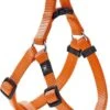 Hondentuig Ziggi Oranje – Oranje – 60 – 90 Cm X 25 Mm -Hondenbenodigdhedenwinkel Hondentuig Ziggi Oranje Oranje 60 90 cm x 25 mm