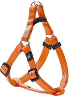 Hondentuig Ziggi Oranje – Oranje – 60 – 90 Cm X 25 Mm