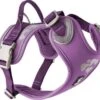Hurtta Weekend Warrior Hondenharnas Currant Paars 80-100cm -Hondenbenodigdhedenwinkel Hurtta Weekend Warrior Hondenharnas Currant paars 80 100cm