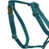 Kentucky Hondentuig Loop – Emerald L – 75-100cm -Hondenbenodigdhedenwinkel Kentucky Hondentuig Loop Emerald L 75 100cm