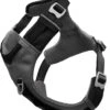 Kurgo Journey Air – Hondenharnas Voor Actieve Honden – Eenvoudig Te Bevestigen En Zichtbaar In Het Donker – Zwart/Grijs – XS, S, M, L En XL – Extra Small -Hondenbenodigdhedenwinkel Kurgo Journey Air Hondenharnas voor actieve honden Eenvoudig te bevestigen en zichtbaar in het donker ZwartGrijs XS S M L en XL Extra Sm