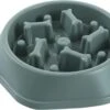 Maison Extravagante – Shiro Voerbak Hond/Kat – Set Van 2 Stuks – Groen – Slow Feeder – Anti Schrok Voerbak – Melamine – Drinkbak – Eetbak – Huisdier