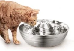 Moowi – RVS Drinkfontein Voor Kat En Hond – Fluisterstil – Incl. 3 Filters – Vaatwasserbestendig – Drinkbak Hond – USB Stekker