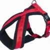 Nobby Hondentuig Comfort Soft Grip Rood – Xs/s – Buikomvang 30-40 Cm – Breedte 15/30 Mm -Hondenbenodigdhedenwinkel Nobby hondentuig comfort soft grip rood xss buikomvang 30 40 cm breedte 1530 mm