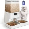 PETEMPO® Automatische Voerbak Kat – Voerautomaat – Bestuurbaar Met WiFi En Smartphone – Automatische Voerbak Voor Kat Of Hond – 5L 1 PETEMPO® Automatische Voerbak Kat – Voerautomaat – Bestuurbaar Met WiFi En Smartphone – Automatische Voerbak Voor Kat Of Hond – 5L -Hondenbenodigdhedenwinkel PETEMPO® Automatische Voerbak Kat Voerautomaat Bestuurbaar met WiFi en Smartphone Automatische Voerbak voor Kat of Hond 5L