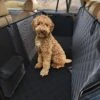 Premium Hondendeken Auto Achterbank Kijkvenster – Incl 2 Hondenriemen En E-Book – Autodeken Hond – Autobench Voor Hond – Zwart -Hondenbenodigdhedenwinkel Premium Hondendeken auto achterbank kijkvenster Incl 2 hondenriemen en E Book Autodeken hond Autobench voor hond Zwart