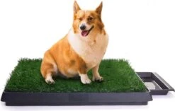 Rexa® Hondentoilet Voor Honden 63 X 50cm – Indoor Puppytoilet Met Gras, Trainingsonderlegger Voor Kleine Honden, Grote Honden En Oudere Honden – Zindelijkheidstraining