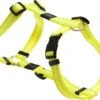 Rogz For Dogs Snake Hondentuig – Geel – 16 Mm X 32-52 Cm -Hondenbenodigdhedenwinkel Rogz For Dogs Snake Hondentuig Geel 16 mm x 32 52 cm