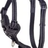 Rogz Utility Control Tuig Zwart – Hondenharnas – 32-52×1.6 Cm 2 Rogz Utility Control Tuig Zwart – Hondenharnas – 32-52×1.6 Cm -Hondenbenodigdhedenwinkel Rogz Utility Control Tuig Zwart Hondenharnas 32 52x1.6 cm