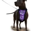 Sharon B – Hondentuig – Grote Hond – Camouflage – Paars – Hondenharnas – L – Mesh – Anti Trek Tuig – Easy Walk -Hondenbenodigdhedenwinkel Sharon B hondentuig grote hond camouflage paars hondenharnas L mesh anti trek tuig easy walk