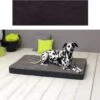 Sun Garden Buddy Orthopedisch Hondenkussen 120x72x10cm Antraciet -Hondenbenodigdhedenwinkel Sun Garden Buddy Orthopedisch Hondenkussen 120x72x10cm Antraciet 1