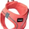 Topmast Airmesh Hondentuig – Click & Go – Roze – XS – Reflecterend – Harnas Hond – Hondentuigje – Hondenharnas – Voor Puppy, Kleine, Medium En Grote Hond -Hondenbenodigdhedenwinkel Topmast Airmesh Hondentuig Click amp Go Roze XS Reflecterend Harnas Hond Hondentuigje Hondenharnas Voor Puppy Kleine Medium en Gro