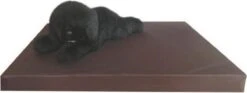 Topmast Kussen Hondenkussen Hondenmatras Orthopedisch Leatherlook 55 X 80 X 10 Cm – Bruin