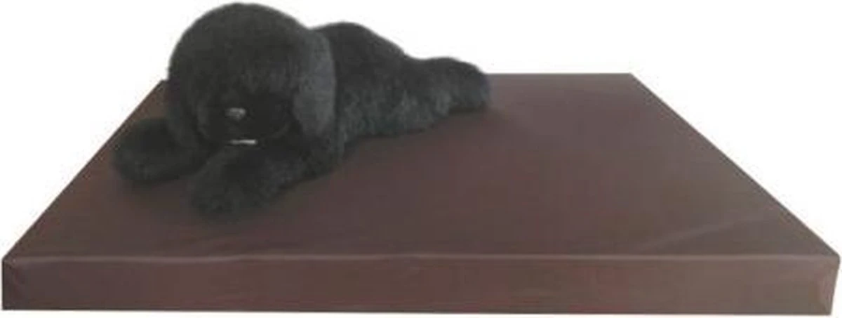 Topmast Kussen Hondenkussen Hondenmatras Orthopedisch Leatherlook 55 X 80 X 10 Cm – Bruin 3 Topmast Kussen Hondenkussen Hondenmatras Orthopedisch Leatherlook 55 X 80 X 10 Cm – Bruin