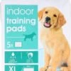 Training Pads – Honden Zindelijkheidstraining – Trainingsmat – Puppy Trainer – Super Absorberend – 60 X 90 XL – 10 Stuks 1 Training Pads – Honden Zindelijkheidstraining – Trainingsmat – Puppy Trainer – Super Absorberend – 60 X 90 XL – 10 Stuks -Hondenbenodigdhedenwinkel Training Pads Honden Zindelijkheidstraining Trainingsmat Puppy Trainer Super Absorberend 60 x 90 XL 10 stuks