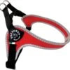 Tre Ponti Fibbia Basic Tuig Rood&Reflecterend – Hondenharnas – 35 – 49 Cm 2 Tre Ponti Fibbia Basic Tuig Rood&Reflecterend – Hondenharnas – 35 – 49 Cm -Hondenbenodigdhedenwinkel Tre Ponti Fibbia Basic Tuig RoodampReflecterend Hondenharnas 35 49 cm