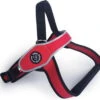Tre Ponti Primo Tuig Rood&Reflecterend – Hondenharnas – 85 – 116 Cm -Hondenbenodigdhedenwinkel Tre Ponti Primo Tuig RoodampReflecterend Hondenharnas 85 116 cm