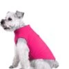 YAODHAOD Hondenkleding, Truien Voor Chihuahuas Honden Hoodies Bulldog Jumper, Stretch Fleece Vest Hond Trui, Zacht En Warm (XL) (XL) 1 YAODHAOD Hondenkleding, Truien Voor Chihuahuas Honden Hoodies Bulldog Jumper, Stretch Fleece Vest Hond Trui, Zacht En Warm (XL) (XL) -Hondenbenodigdhedenwinkel YAODHAOD Hondenkleding Truien voor Chihuahuas Honden Hoodies Bulldog Jumper Stretch Fleece Vest Hond Trui Zacht en Warm XL XL