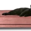 Maxxpro Katten- En Hondenbank – Roze – Verhoogd Met Houten Poten – Fluweel Materiaal – 90 X 44 X 34 CM – Huisdieren Tot 80 KG 2 Maxxpro Katten- En Hondenbank – Roze – Verhoogd Met Houten Poten – Fluweel Materiaal – 90 X 44 X 34 CM – Huisdieren Tot 80 KG -Hondenbenodigdhedenwinkel maxxpro Katten en Hondenbank Roze Verhoogd met Houten Poten Fluweel Materiaal 90 x 44 x 34 CM Huisdieren tot 80 KG