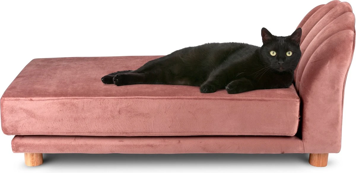 Maxxpro Katten- En Hondenbank – Roze – Verhoogd Met Houten Poten – Fluweel Materiaal – 90 X 44 X 34 CM – Huisdieren Tot 80 KG 3 Maxxpro Katten- En Hondenbank – Roze – Verhoogd Met Houten Poten – Fluweel Materiaal – 90 X 44 X 34 CM – Huisdieren Tot 80 KG